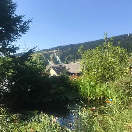 Fewo-Michi Oberwiesenthal Exterior foto